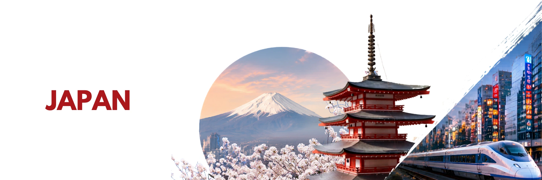Japan Program